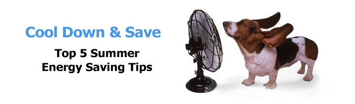 Cool Down & Save Top 5 Summer Energy Saving Tips