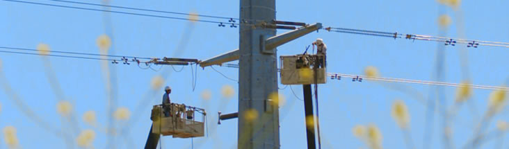 Photo of lineworkers